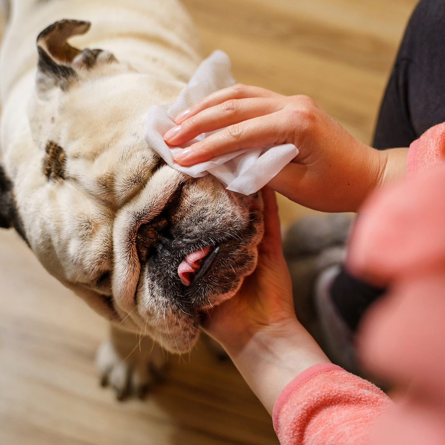 Dog Grooming Wipes For Paws, Face And Body