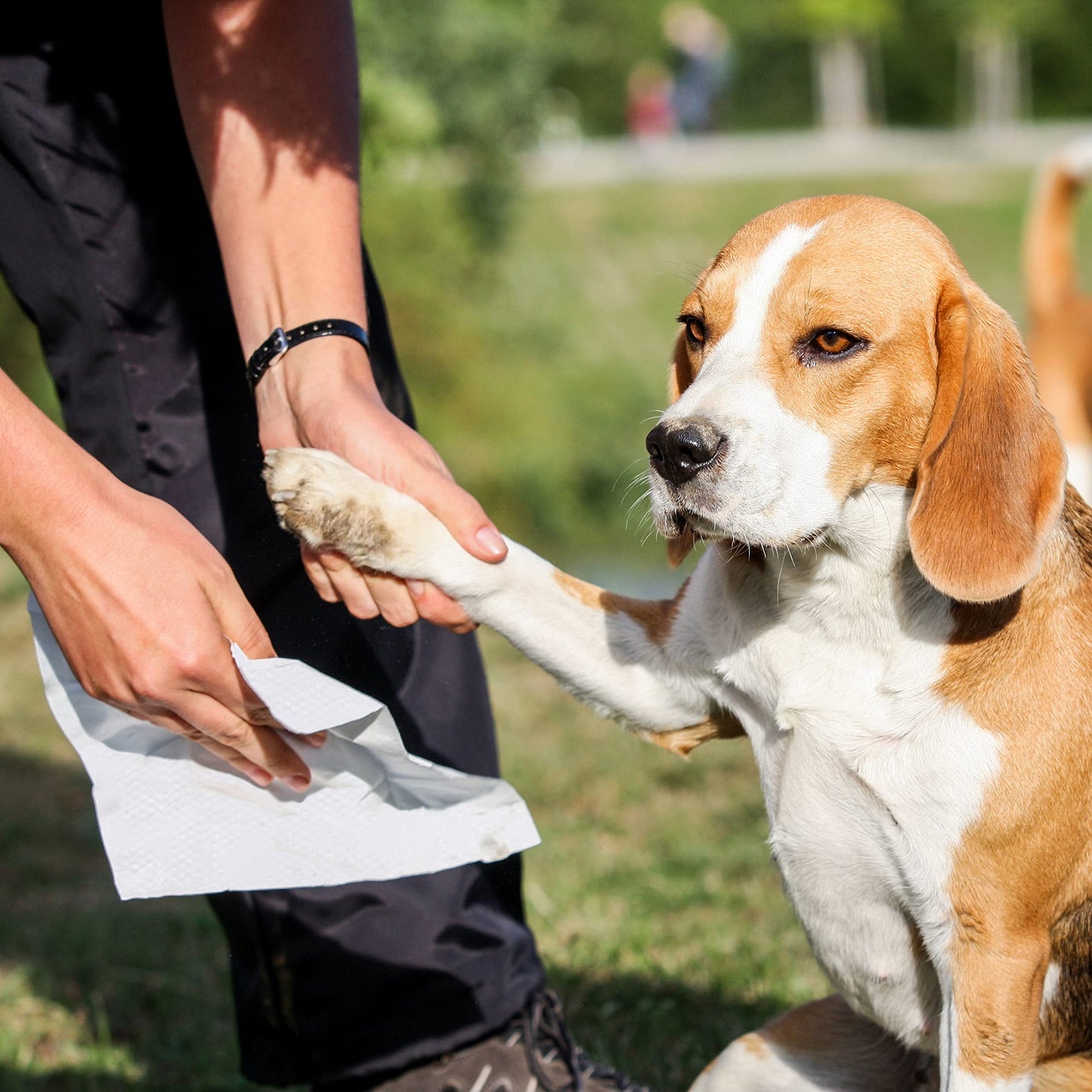 Inspire Naturals Pet Wipes For Dogs
