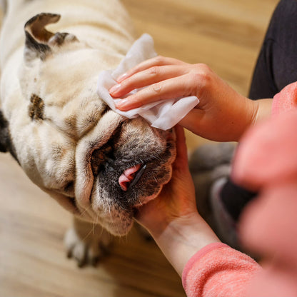Inspire Naturals Pet Wipes For Easier Grooming And Cleaning